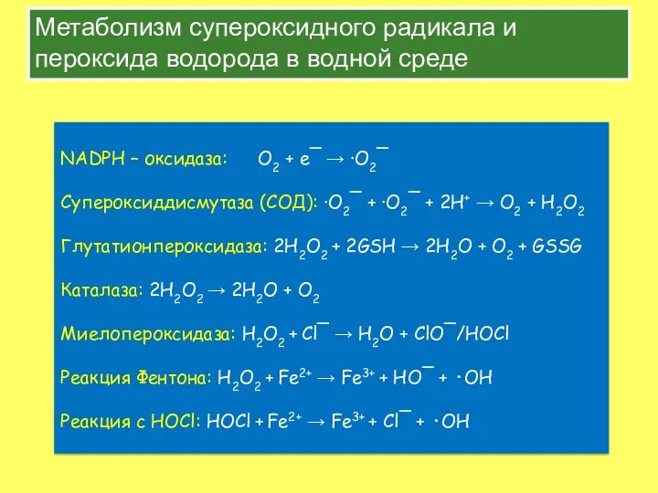 Метаболизм супероксидного радикала и пероксида водорода в водной среде NADPH