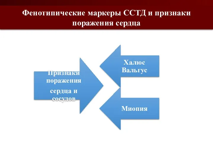 Фенотипические маркеры ССТД и признаки поражения сердца Миопия