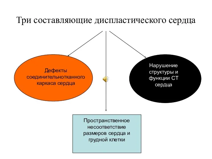 Три составляющие диспластического сердца Дефекты соединительнотканного каркаса сердца Нарушение структуры