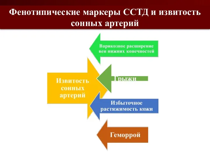 Фенотипические маркеры ССТД и извитость сонных артерий