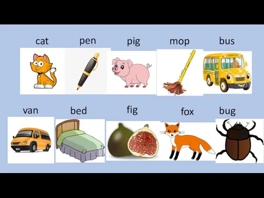 cat pen pig mop bus van bed fig fox bug