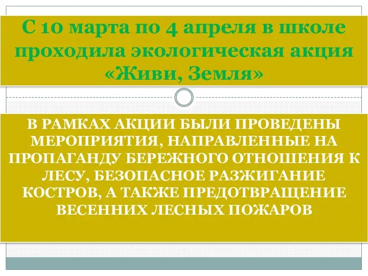 В РАМКАХ АКЦИИ БЫЛИ ПРОВЕДЕНЫ МЕРОПРИЯТИЯ, НАПРАВЛЕННЫЕ НА ПРОПАГАНДУ БЕРЕЖНОГО