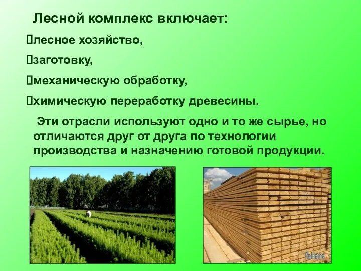 Лесной комплекс включает: лесное хозяйство, заготовку, механическую обработку, химическую переработку древесины. Эти отрасли