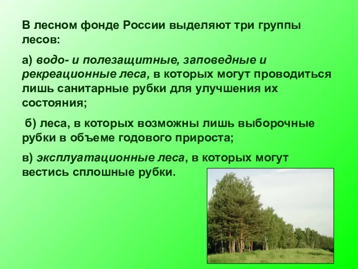 В лесном фонде России выделяют три группы лесов: а) водо- и полезащитные, заповедные