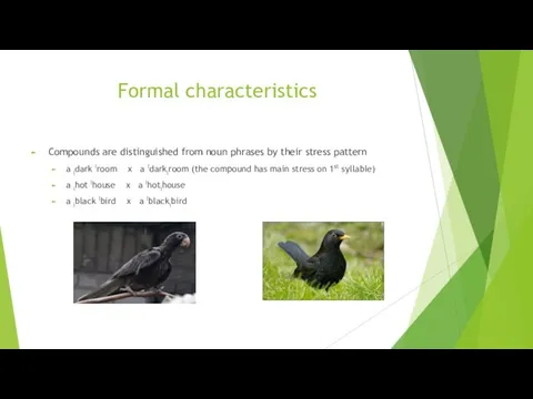 Formal characteristics Compounds are distinguished from noun phrases by their