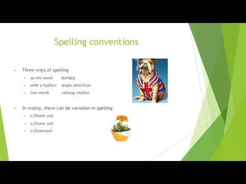 Spelling conventions Three ways of spelling as one word bulldog