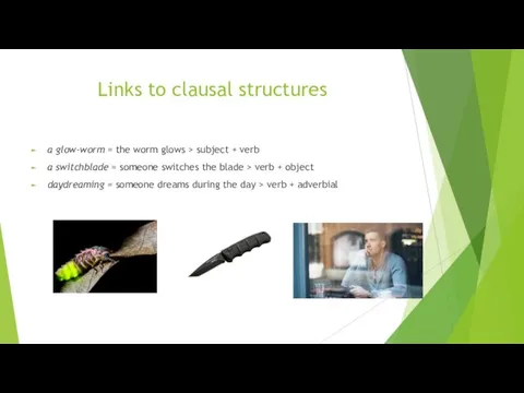 Links to clausal structures a glow-worm = the worm glows