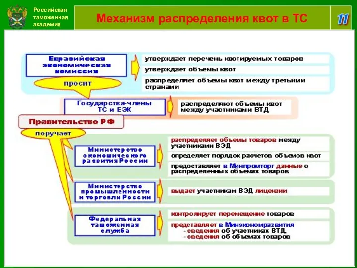Российская таможенная академия 11 Механизм распределения квот в ТС