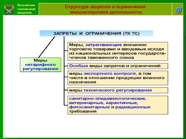 Российская таможенная академия 8 Структура запретов и ограничений внешнеторговой деятельности