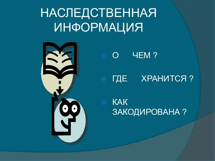 НАСЛЕДСТВЕННАЯ ИНФОРМАЦИЯ О ЧЕМ ? ГДЕ ХРАНИТСЯ ? КАК ЗАКОДИРОВАНА ?