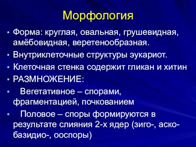 Морфология Форма: круглая, овальная, грушевидная, амёбовидная, веретенообразная. Внутриклеточные структуры эукариот.