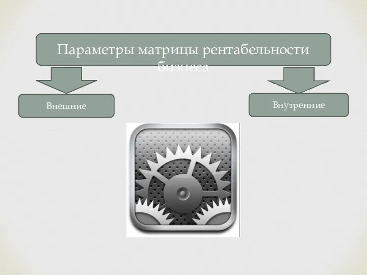 Параметры матрицы рентабельности бизнеса Внешние Внутренние