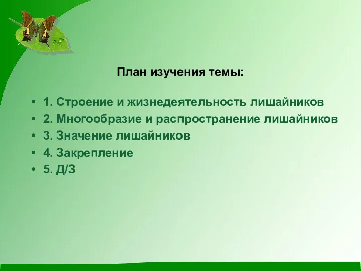 План изучения темы: 1. Строение и жизнедеятельность лишайников 2. Многообразие и распространение лишайников