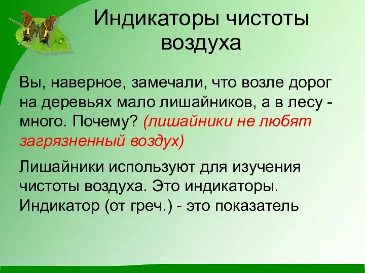 Вы, наверное, замечали, что возле дорог на деревьях мало лишайников, а в лесу