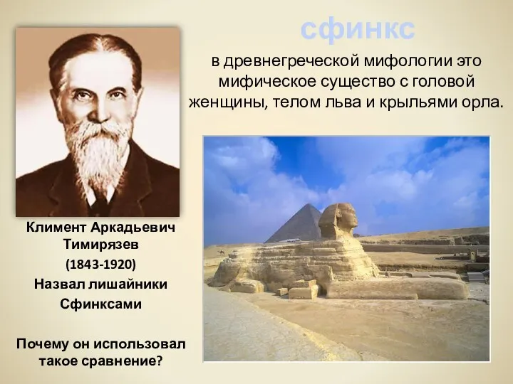 Климент Аркадьевич Тимирязев (1843-1920) Назвал лишайники Сфинксами Почему он использовал