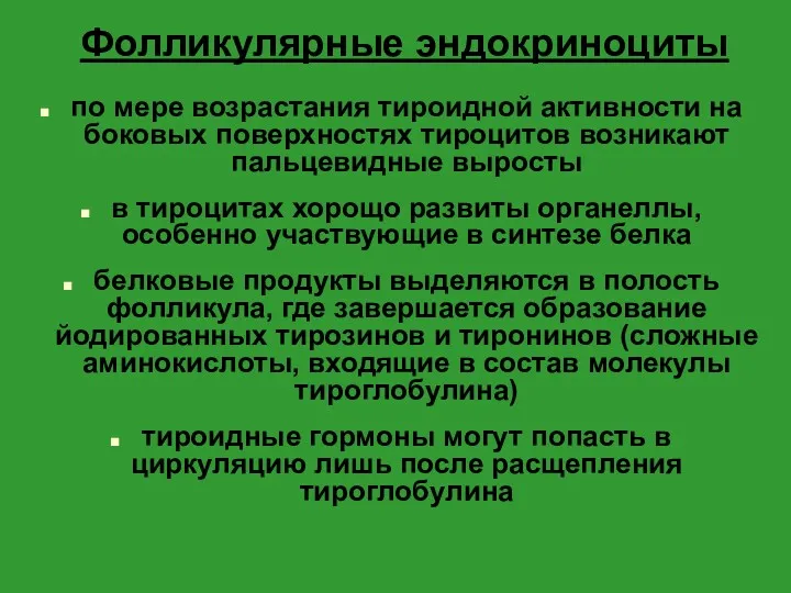 Фолликулярные эндокриноциты по мере возрастания тироидной активности на боковых поверхностях