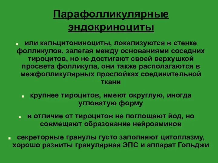 Парафолликулярные эндокриноциты или кальцитониноциты, локализуются в стенке фолликулов, залегая между