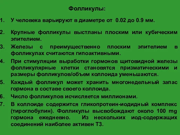 Фолликулы: У человека варьируют в диаметре от 0.02 до 0.9 мм. Крупные фолликулы