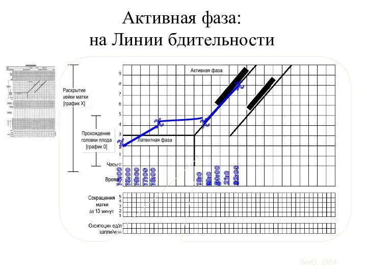 Активная фаза: на Линии бдительности 14:00 15:00 16:00 17:00 18:00