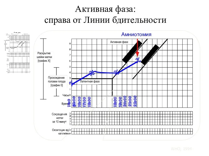 Активная фаза: справа от Линии бдительности X 14:00 X X