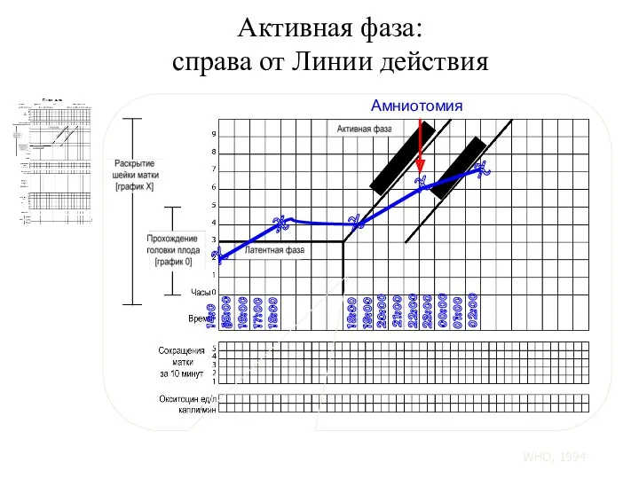 Активная фаза: справа от Линии действия X 14:00 X X