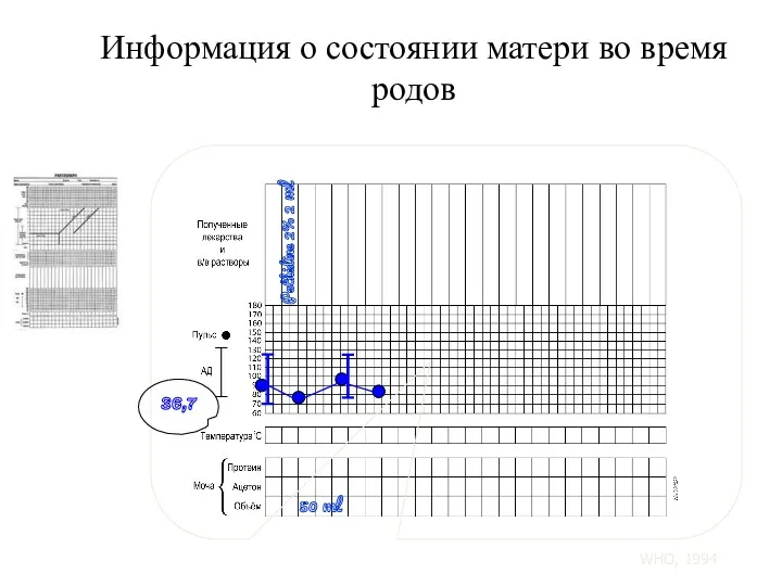 36,7 Информация о состоянии матери во время родов Pethidine 2% 2 ml 50 ml WHO, 1994