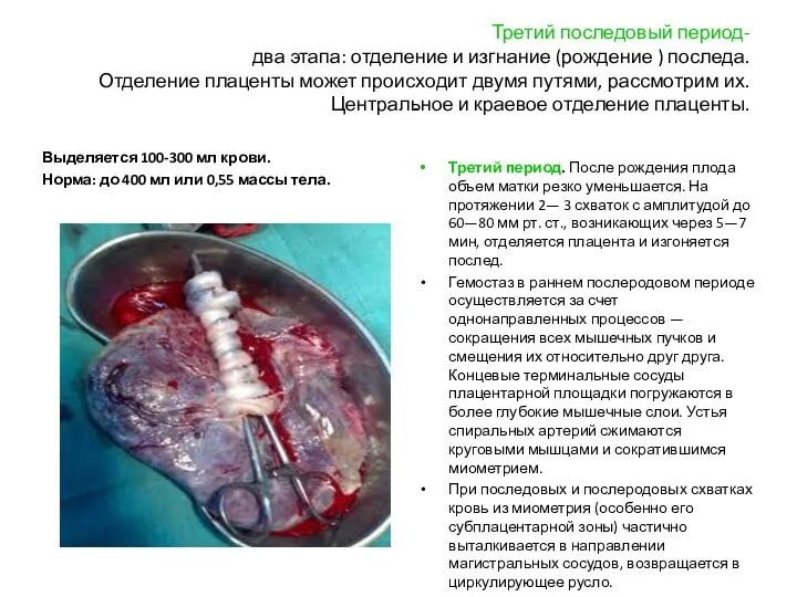 Третий последовый период- два этапа: отделение и изгнание (рождение )