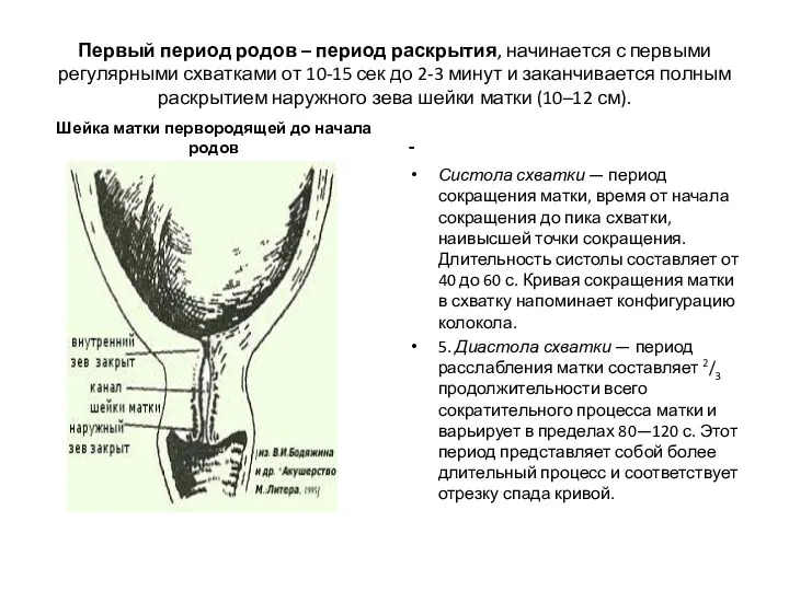 Первый период родов – период раскрытия, начинается с первыми регулярными