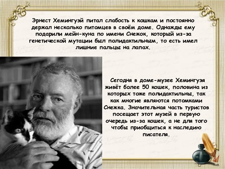 Сегодня в доме-музее Хемингуэя живёт более 50 кошек, половина из