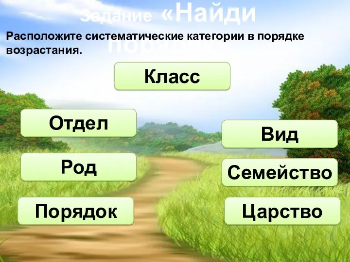 Задание «Найди порядок» Класс Царство Отдел Род Семейство Вид Порядок Расположите систематические категории в порядке возрастания.