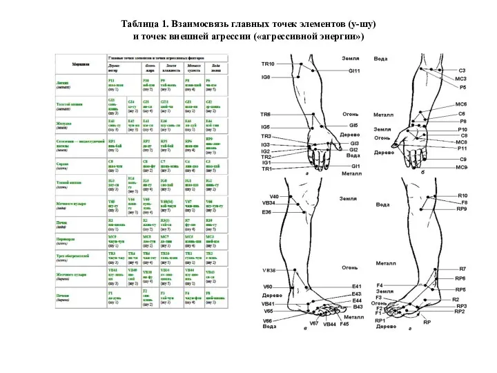 Таблица 1. Взаимосвязь главных точек элементов (у-шу) и точек внешней агрессии («агрессивной энергии»)