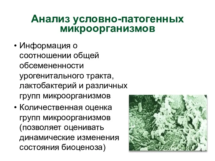 Анализ условно-патогенных микроорганизмов Информация о соотношении общей обсемененности урогенитального тракта,