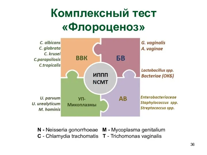 Комплексный тест «Флороценоз» N - Neisseria gonorrhoeae M - Mycoplasma