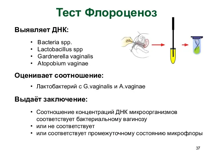 Тест Флороценоз Выявляет ДНК: Bacteria spp. Lactobacillus spp Gardnerella vaginalis