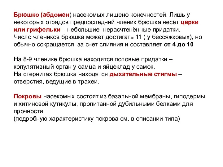 Брюшко (абдомен) насекомых лишено конечностей. Лишь у некоторых отрядов предпоследний