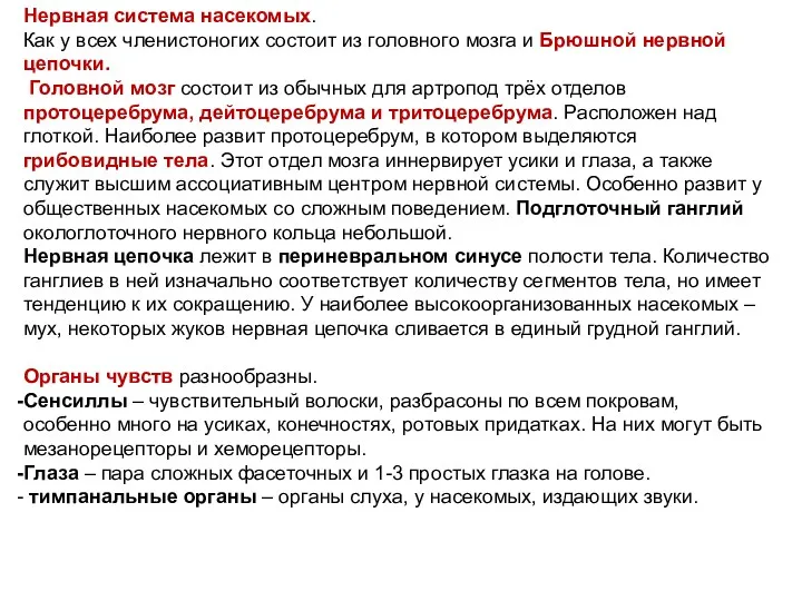 Нервная система насекомых. Как у всех членистоногих состоит из головного