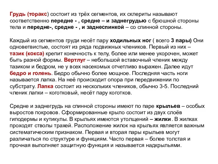 Грудь (торакс) состоит из трёх сегментов, их склериты называют соответственно