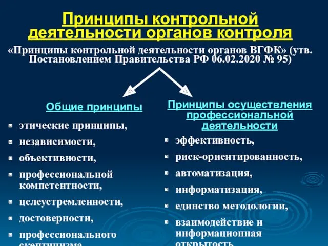 Принципы контрольной деятельности органов контроля «Принципы контрольной деятельности органов ВГФК»