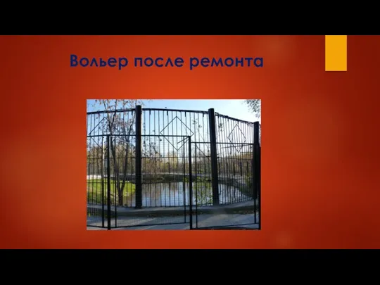 Вольер после ремонта