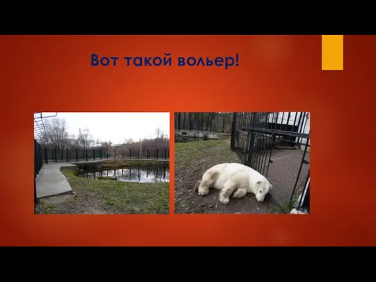 Вот такой вольер!