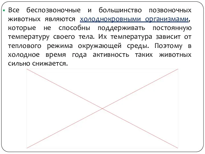 Все беспозвоночные и большинство позвоночных животных являются холоднокровными организмами, которые