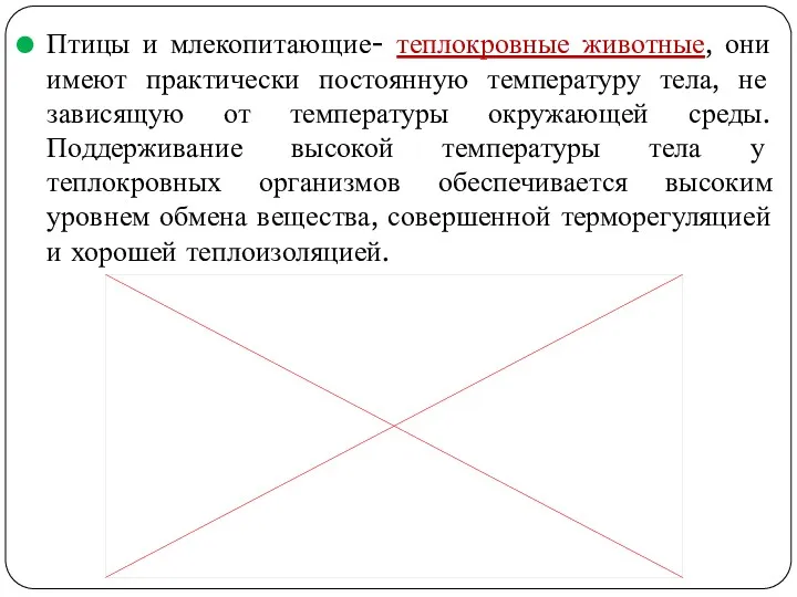 Птицы и млекопитающие- теплокровные животные, они имеют практически постоянную температуру