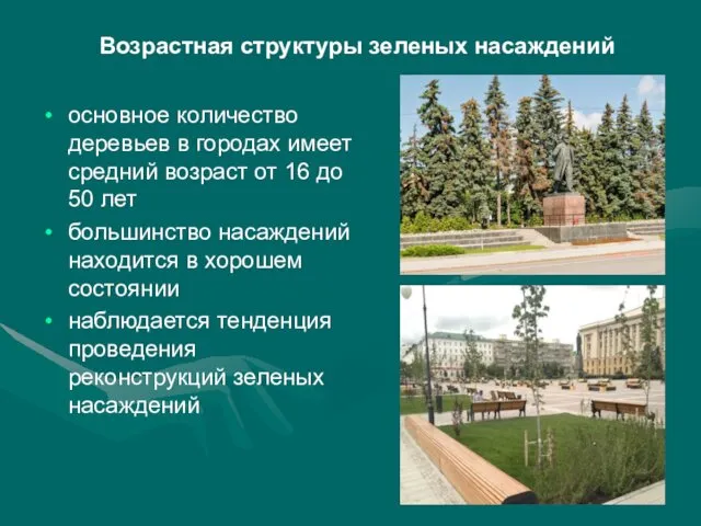 Возрастная структуры зеленых насаждений основное количество деревьев в городах имеет