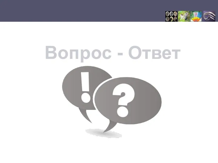 Вопрос - Ответ