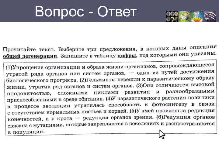 Вопрос - Ответ