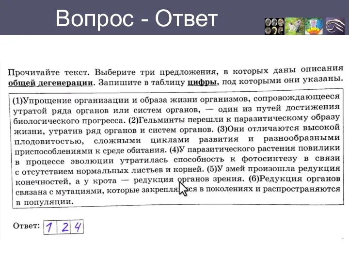 Вопрос - Ответ