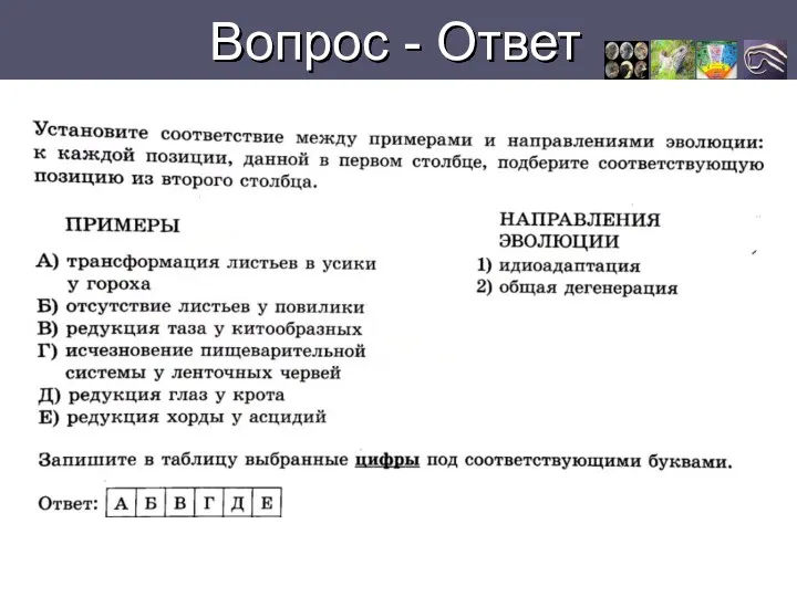 Вопрос - Ответ