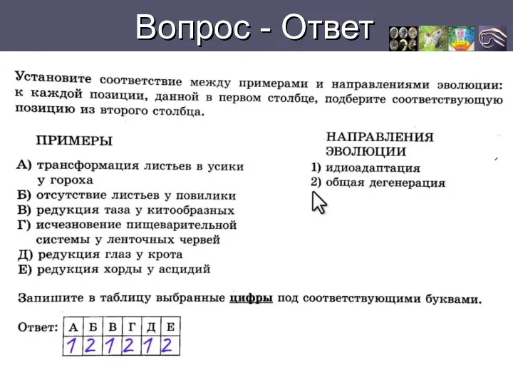 Вопрос - Ответ