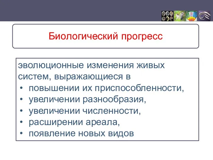 эволюционные изменения живых систем, выражающиеся в повышении их приспособленности, увеличении