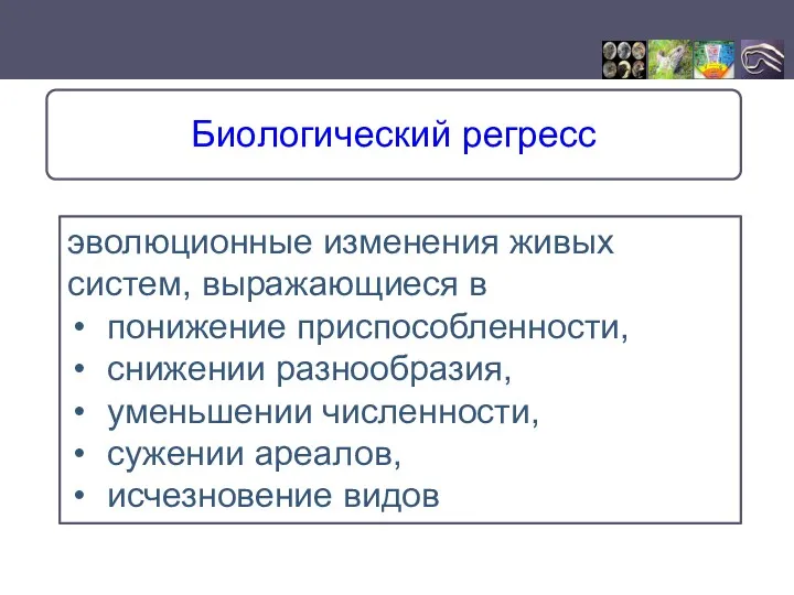 эволюционные изменения живых систем, выражающиеся в понижение приспособленности, снижении разнообразия, уменьшении численности, сужении ареалов, исчезновение видов